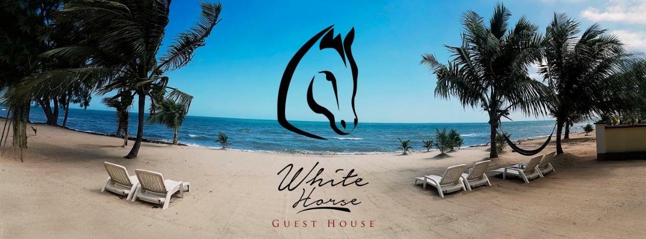 The White Horse Inn - Hopkins Village Beach Belize Exteriér fotografie